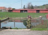 Acquisto vendita Lapalisse